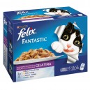 PURINA FELIX Sensation   Gelatinas Selección de Carnes