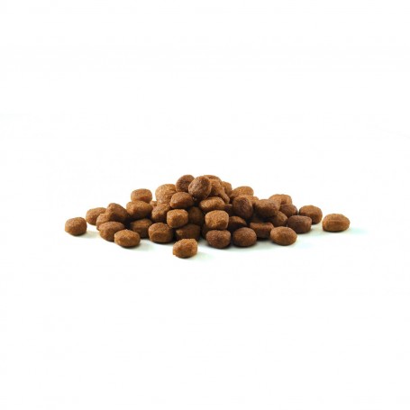 PURINA ONE  Bifensis Esterilizado rico en Pollo y Trigo