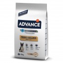 Advance French Bulldog