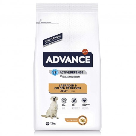 Advance Labrador