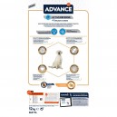 Advance Labrador
