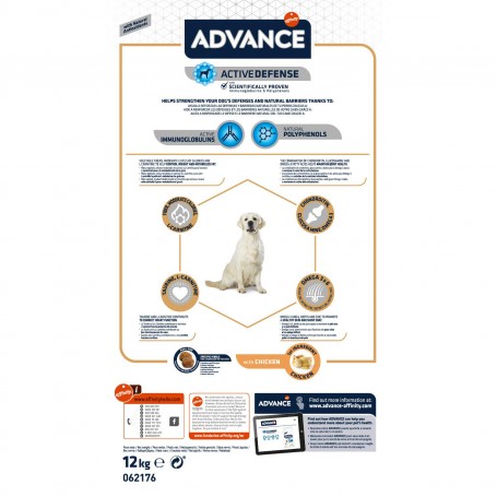 Advance Labrador