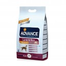 Advance All Breeds Adult Lamb & Rice