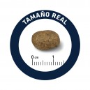 Advance All Breeds Adult Lamb & Rice