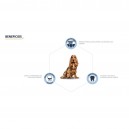 Advance Dental Care Stick, Snacks para perros, Higiene bucal