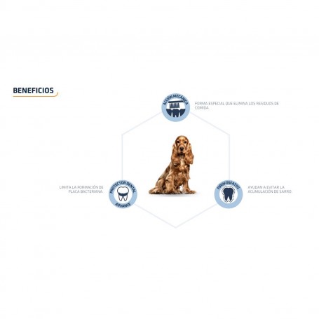Advance Dental Care Stick, Snacks para perros, Higiene bucal