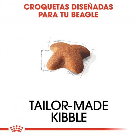 Royal Canin Beagle