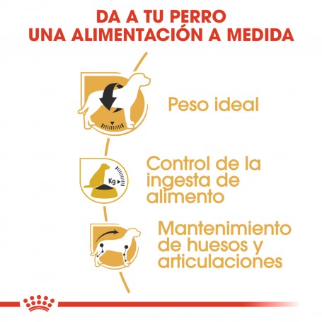 Royal Canin Beagle