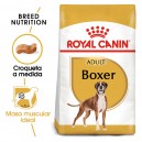 Royal Canin Boxer