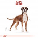 Royal Canin Boxer