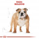 Royal Canin Bulldog