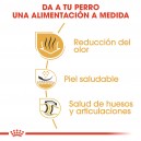 Royal Canin Bulldog