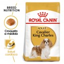Royal Canin Cavalier King Charles