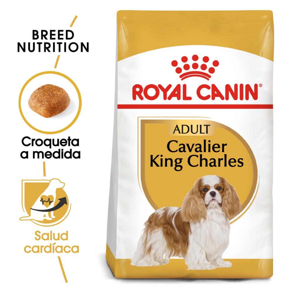Royal Canin Cavalier King Charles