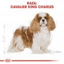 Royal Canin Cavalier King Charles