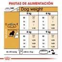 Royal Canin Cavalier King Charles
