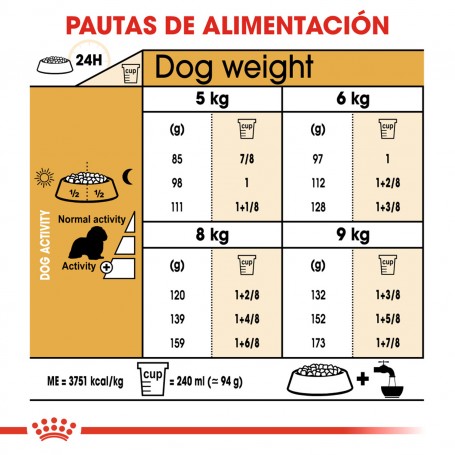 Royal Canin Cavalier King Charles