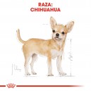 Royal Canin Chihuahua Adult