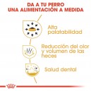 Royal Canin Chihuahua Adult