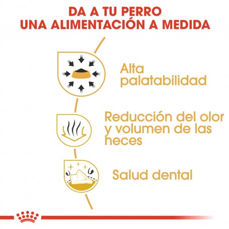 Royal Canin Chihuahua Adult