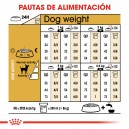 Royal Canin Chihuahua Adult