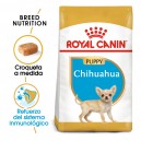 Royal Canin Chihuahua Junior