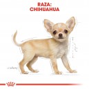 Royal Canin Chihuahua Junior