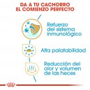 Royal Canin Chihuahua Junior