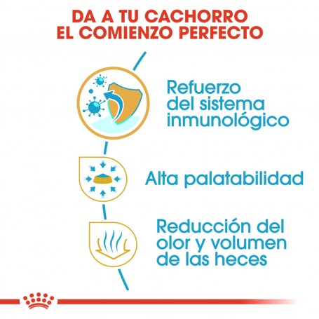 Royal Canin Chihuahua Junior