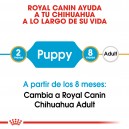 Royal Canin Chihuahua Junior