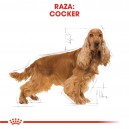 Royal Canin Cocker Adult