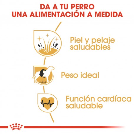 Royal Canin Cocker Adult