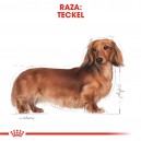 Royal Canin Dachshund Teckel