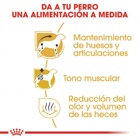 Royal Canin Dachshund Teckel