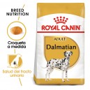 Royal Canin Dalmata Adulto