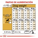 Royal Canin Dalmata Adulto