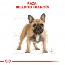 Royal Canin Bulldog Frances