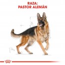 Royal Canin Pastor Aleman