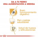 Royal Canin Pastor Aleman