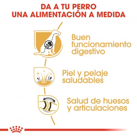 Royal Canin Pastor Aleman