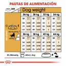 Royal Canin Pastor Aleman