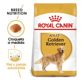 Pienso Golden Retrevier