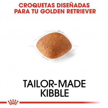 Royal Canin Golden Retriever