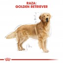 Royal Canin Golden Retriever