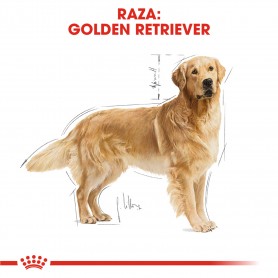 Royal Canin Golden Retriever Adult pienso para perro adulto de raza 