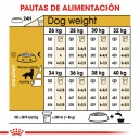 Royal Canin Golden Retriever