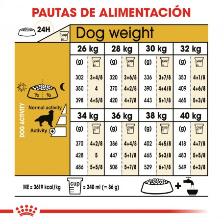 Royal Canin Golden Retriever