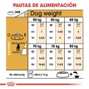 Royal Canin Gran Danés