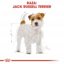 Royal Canin Jack Russell