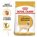 Royal Canin Labrador Retriever Adult